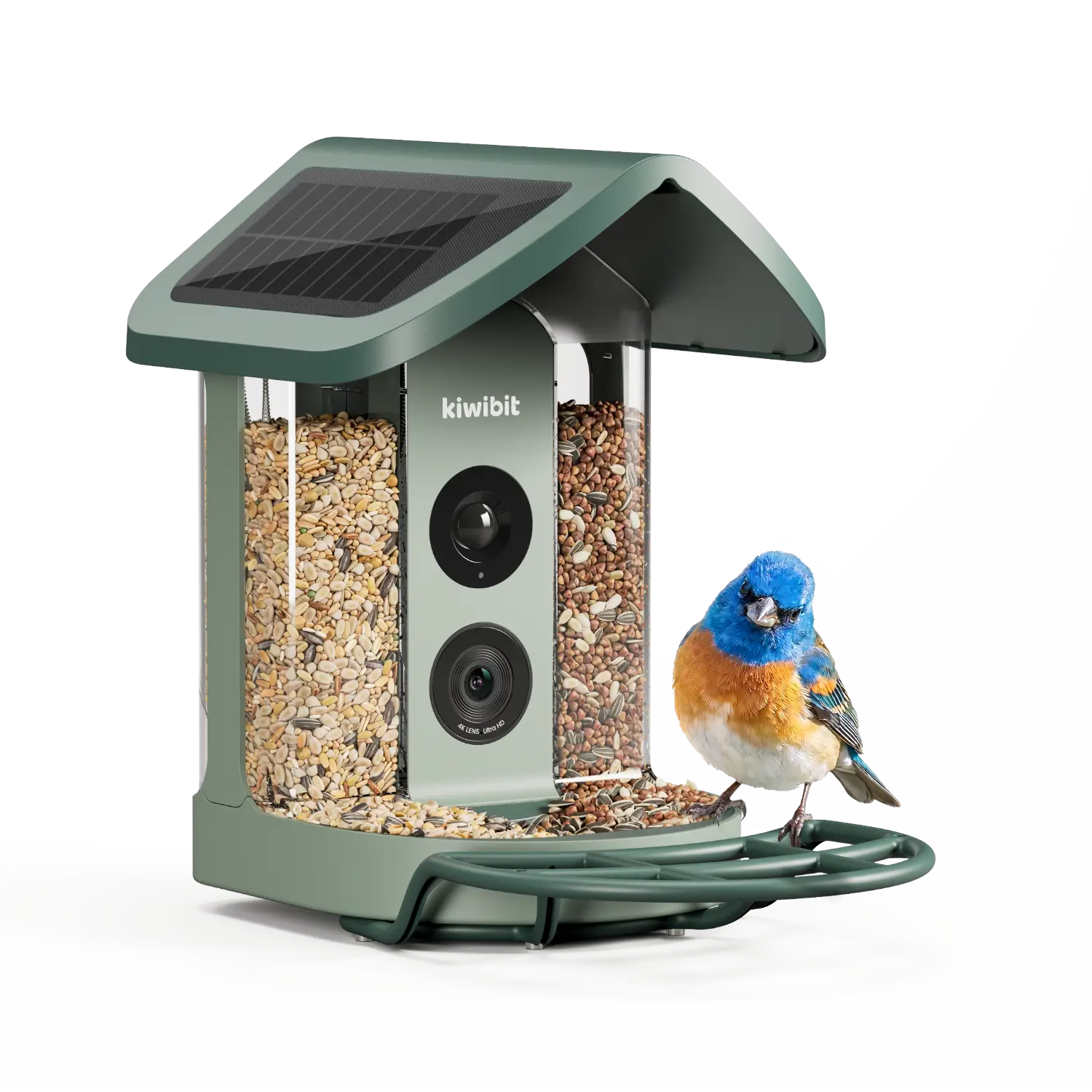 Kiwibit Bird Feeder 2 4K AI Camera with Solar Panel - AI by Subscription